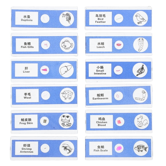 Shisuyan 12pcs Prepared Microscope Slides For Adults And Kids Animals Samples For School Laboratory And Personal Research Supplies