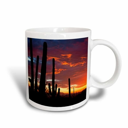 

3dRose Sunset in the Sonoran Desert Saguaro West NP Tucson Arizona - Ceramic Mug 11-ounce