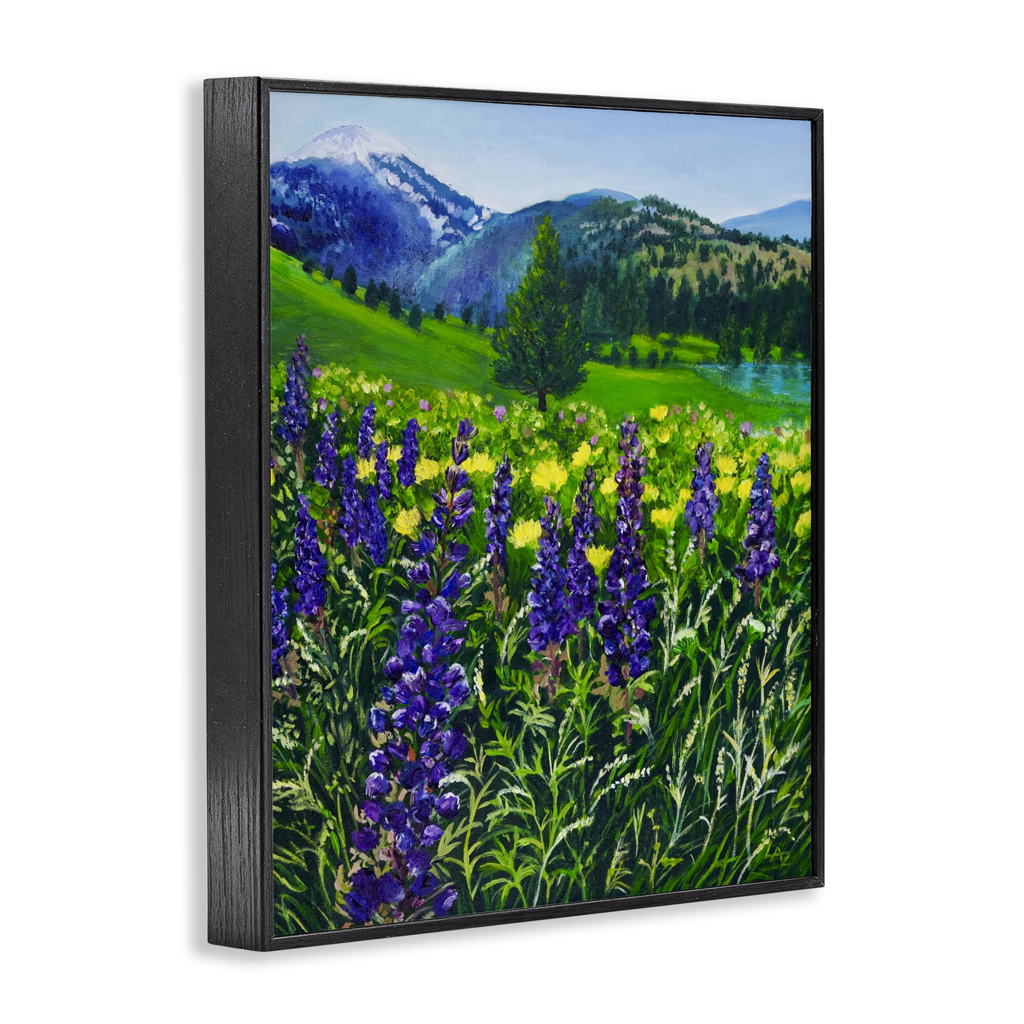 Stupell Industries Flower Speckled Valley Black Framed Giclee Art, design by Lee Ann Zirbes