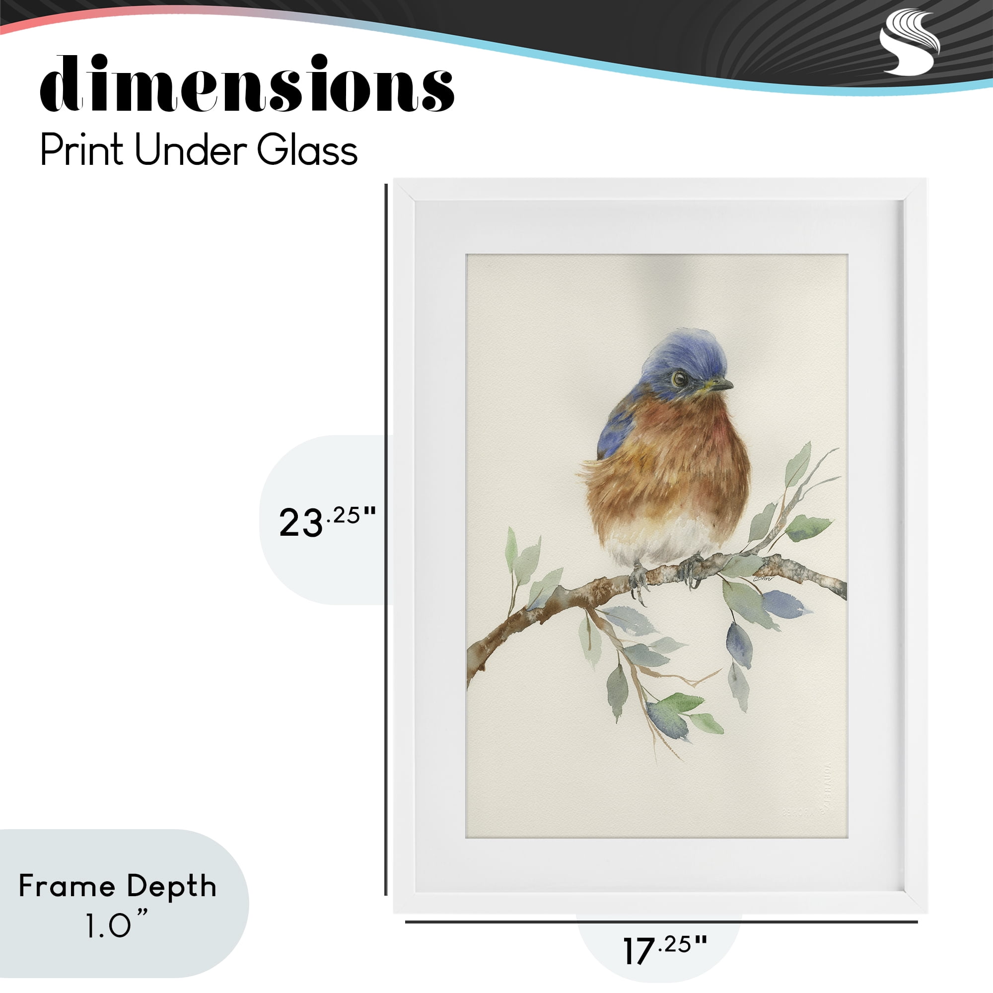 Stupell Industries Songbird Perched on Branch White Framed Print Under Glass, design by Cady Driver