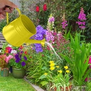 YIMWNYI Metal Watering Can for Plants, Indoor Outdoor Garden Tool, Vintage Iron Water Kettle, Ergonomic Handle, Durable Watering Pot for Flowers, Potted Plant Accessories