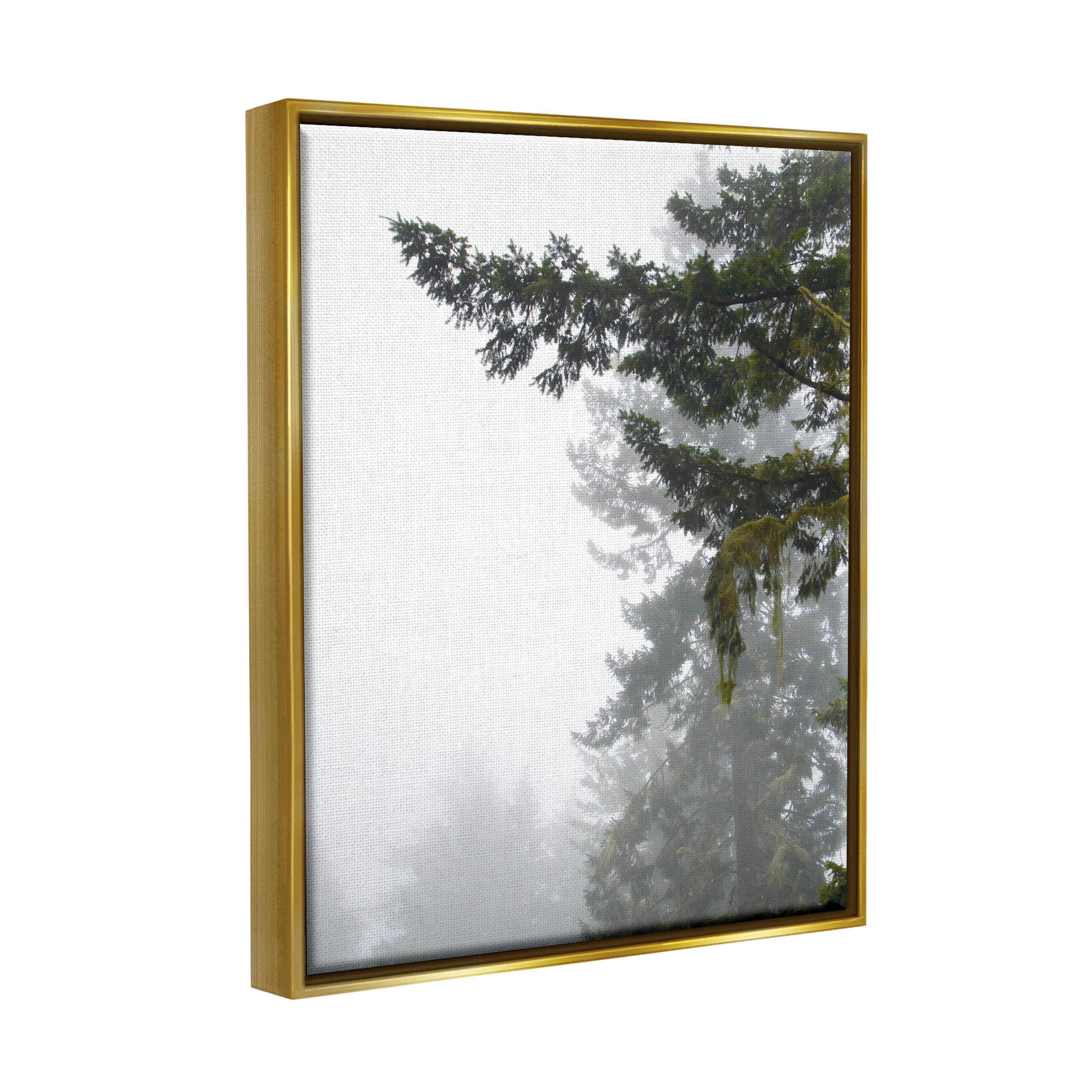Stupell Industries Majestic Pine Tree Overhang Photograph Metallic Gold Floating Framed Canvas Print Wall Art, Design by Debra Van Swearingen