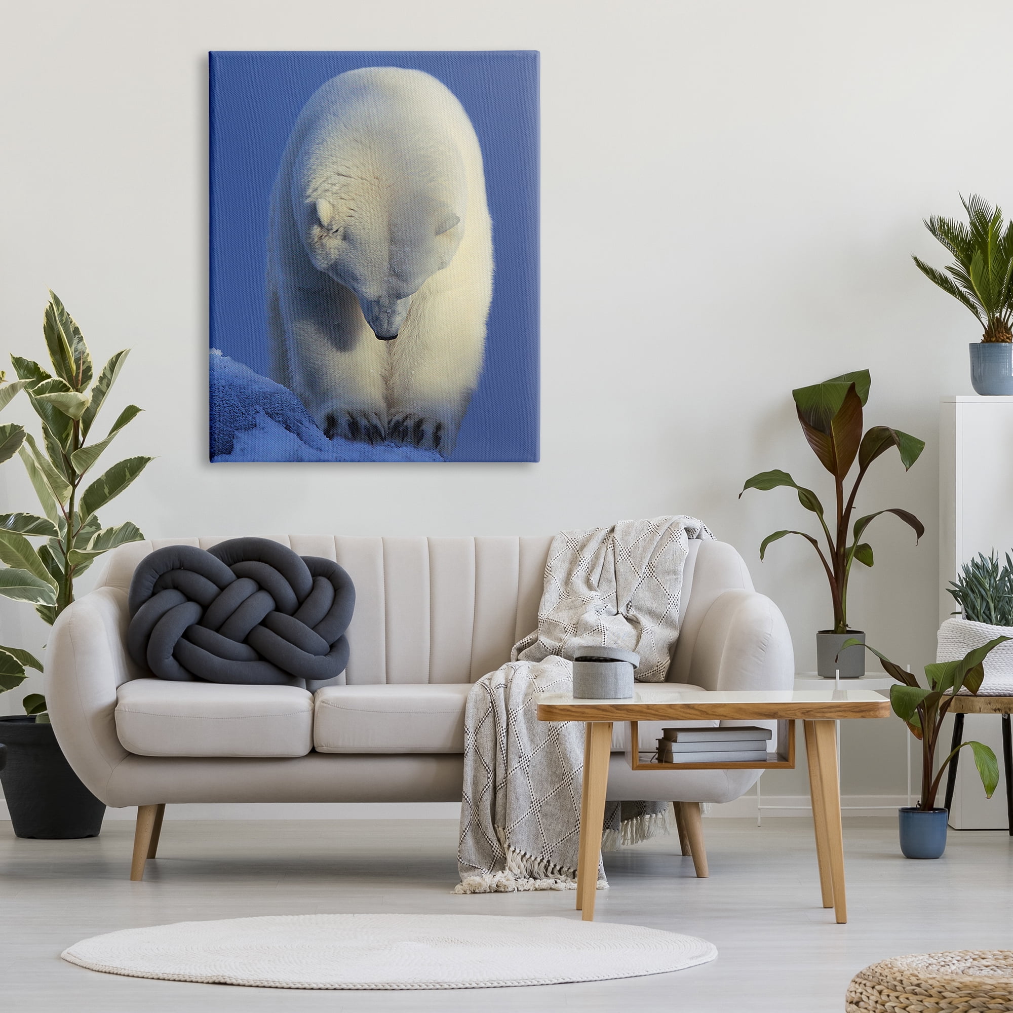 Stupell Industries Polar Bear Photography Animals & Insects Photography Gallery Wrapped Canvas Print Wall Art, 36 x 48