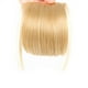 thumbnail image 1 of Clip En Flequillo De Aire Falso Resistente Al Calor Alambre De Alta Temperatura Pinza De Extensión De Cabello Chica Invisible Flequillo Postizo Ejercicio Yoga Speravity CE008684-06, 1 of 6