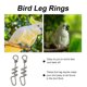 thumbnail image 3 of Houderco 2Ud Brazaletes Para Patas De Loro En Metal Resistente Con Antiescape, 3 of 6
