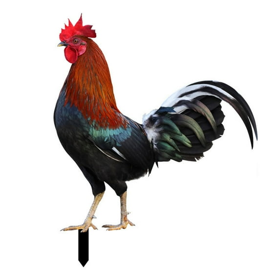 Rooster Decor Realistic Life-like Ornamental Double-sided Printing Acrylic Garden Statue Chicken for Yard
