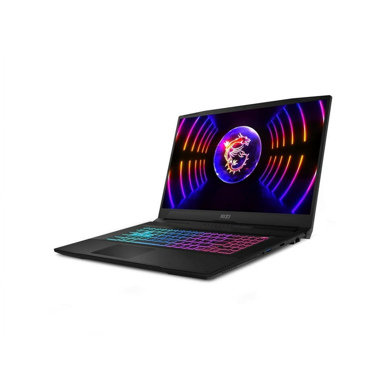 MSI 17.3