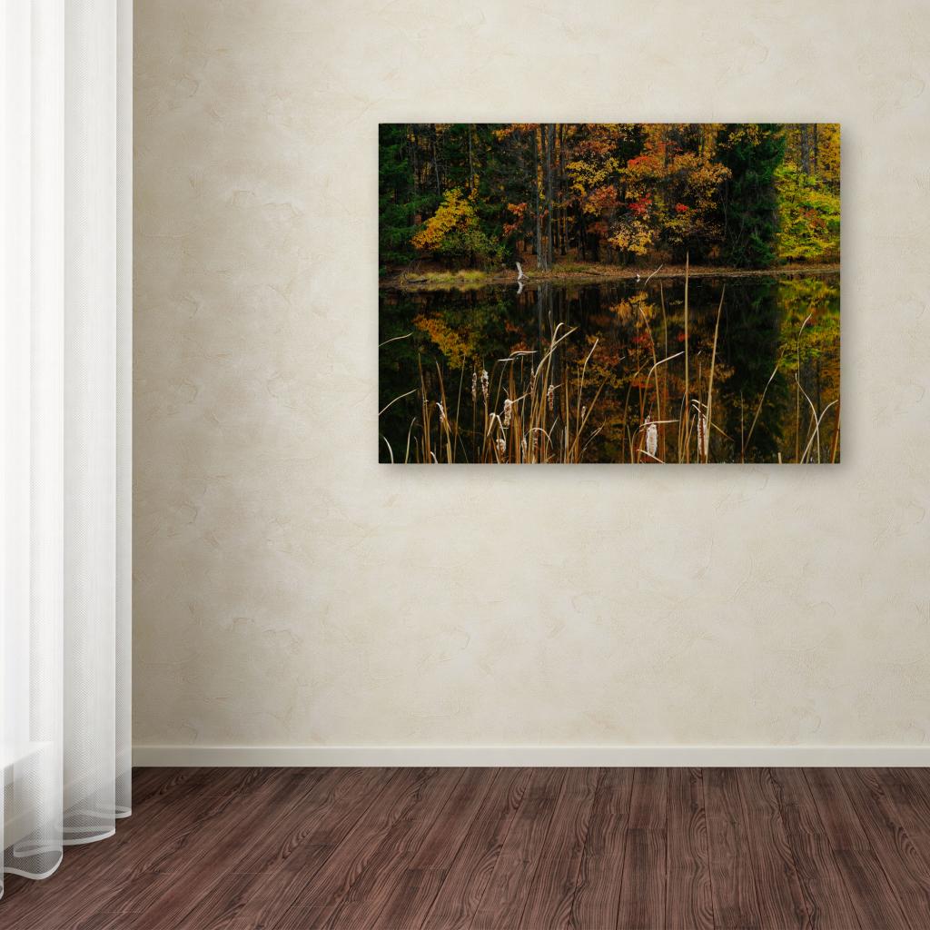 Trademark Fine Art "Beautiful Memory" Canvas Wall Art by Kurt Shaffer