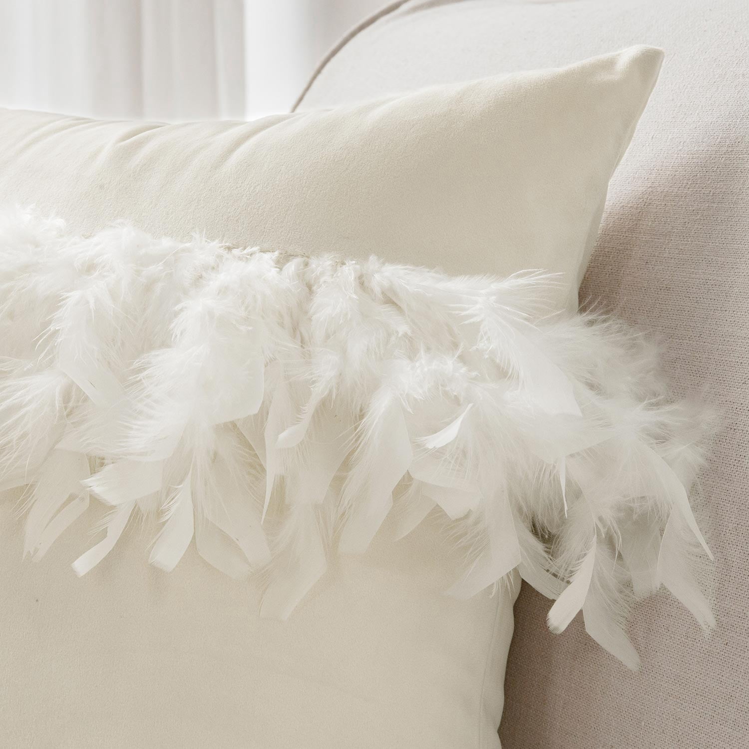 Soft Feather Velvet Modern Cushion, Decorative Couch Pillow, 22" x 22", Off White, 2 Pack