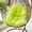 G, variant on Detachable Cushion for Swing Hang Mattress Large 80x120cm Comfort Seating Solution for Outdoor and Indoor Use