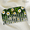 Daisy Print, variant on Parcelona Wide Tooth Comb Tropical Toucan Floral Print Comb for Thick Curly Hair (AshPink)