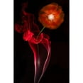 thumbnail image 2 of Yakubovitch, Azriel 17x24 Black Modern Framed Museum Art Print Titled - Red Buttercup, 2 of 4