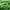 Green, variant on 1Pack 150g Crinkle Cut Paper Shred Filler for Packing and Empty Basket Filler, Raffia Tissue Paper Grass Stuffers Gift Boxes Filler for Wrapping Party Supplies Decoration(Yellow)