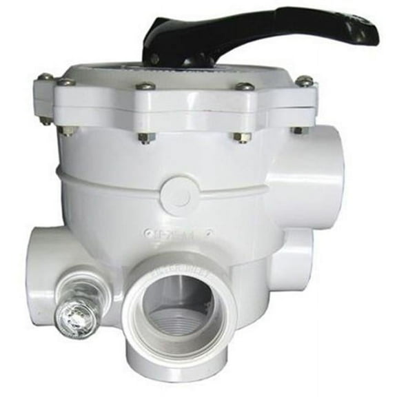 BW MP Valve for Sand 2 in. Female Pipe Thread