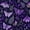 Color 2, variant on Peel and Stick Wallpaper 17.7in x 9.8ft Butterfly Celestial Moon Floral Elements Cosmic Style Contact Paper Vinyl Waterproof Self Adhesive Wall Paper for Bedroom Shelf Cabinet Renter Friendly
