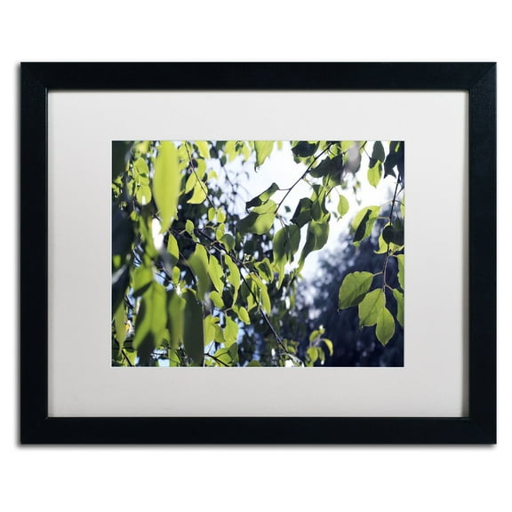 Trademark Fine Art "Whispers of Summer" Canvas Art by Beata Czyzowska Young, White Matte, Black Frame
