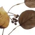 thumbnail image 2 of Bouclair Natural Artificial Eucalyptus Berries, 2 of 2