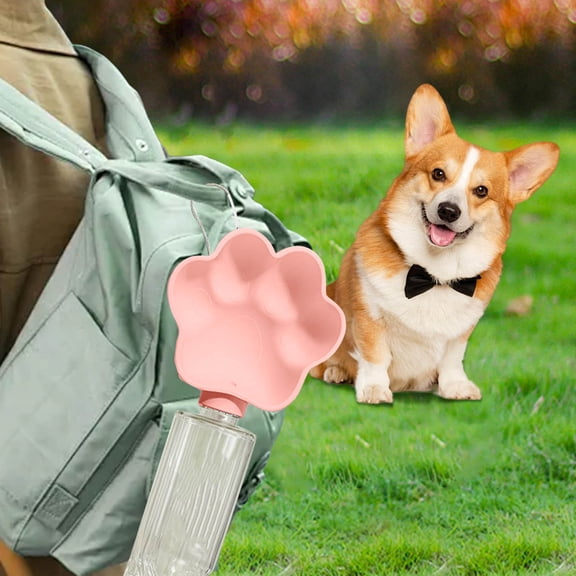 Slow Feeder Dog Bowl Elevated Pet Dish for Small Dogs Whisker Friendly Raised Feeder Dry Wet Food Indoor Outdoor Use Durable Design