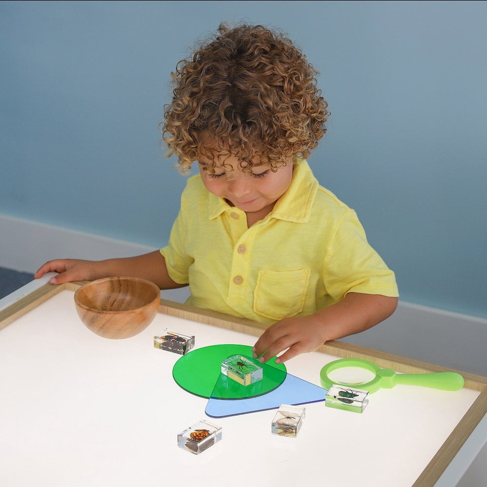 Elevated WB0760 24 x 26 x 24.50 in. Adjustable Light Table - Brown & White