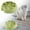 C, variant on TIELUTT Pet Slow Food Bowls Dog Slow Food Devices Cat Feeders and Tall Food Bowls for Large Dogs Small Stainless Bowls Puppies Dog Bowl Large Set Dog Food Bowls Elevated Medium Dog Bowls for Puppies