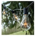 thumbnail image 3 of Vintage Edison Outdoor String Lights (PS50 Clear - Black Wire, 25 ft), 3 of 4