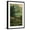 Black Frame, variant on Art.com Adirondack Mountains, Lake Placid, Railroad Poster Art Print, 16" x 24"