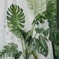 thumbnail image 5 of Shiartex  Tropical Green Plant Shower Curtain Waterproof Washable Fabric Summer Bathroom Decor Botanical Banana Monstera Leaf Palm Tree Shower Curtain with Hooks  69x72, 5 of 7