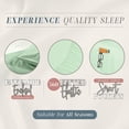 thumbnail image 5 of Elegant Comfort 1500 Series 4-Piece Smart Sheet Set with Side Storage Pockets, California King, Mint Green, 5 of 5