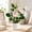 Pink#3, variant on Mini Artificial Rose Bonsai, 12" Silk Flower Potted Plants with White Planter, Realistic Faux Rose Shrub for Home Office Desktop Decor, No Maintenance Required, 1PK