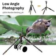 K&F CONCEPT Carbon Fiber Travel Tripod for DSLR Camera, Monopod, 360° Ball Head, 17.6lbs Load Capacity