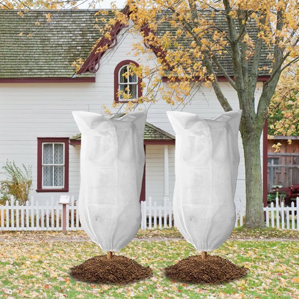 Ounona 1piegrave;ce Tissu Non Tisseacute; Plante Arbre Fleur Plante