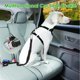 thumbnail image 5 of Correa elástica para perros, correa potente para perros grandes y medianos con asas suaves, correa reflectante para pasear perros de forma segura por la noche (negro) JM, 5 of 5