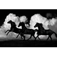 thumbnail image 2 of Carter, Samantha 14x11 White Modern Wood Framed Museum Art Print Titled - Wild Horses, 2 of 4