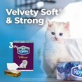 thumbnail image 3 of Royale Velour, 3 Ply Facial Tissue, 6 Flat Boxes, 82 Tissues per Box, 3 of 4