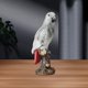 thumbnail image 1 of Estatuilla de loro, estatua de jardín, artesanías, decoración de mesa coleccionable, escultura de Animal para estantería interior, escritorio, decorac, 1 of 8