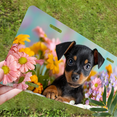 thumbnail image 5 of 1 Pcs 2D Flat License Plate Covers & Frames, Puppy Flowers For Decorative Front, Waterproof For Decoration Aluminum License Plate Covers & Frames Cover For Men Women, 12" X 6", 5 of 6
