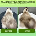thumbnail image 4 of Cat Steam Brush for Shedding 4 in 1 Orange Pet Grooming Brush with Spray,Hair Removal,Massage & Cleaning Anti-Static Defur Comb for Long & Short Haired Cats and Dogs, 4 of 5