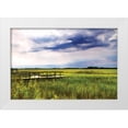 thumbnail image 3 of Alan Hausenflock 14x11 White Modern Wood Framed Wall Art Titled - Marshland Storm I, 3 of 5