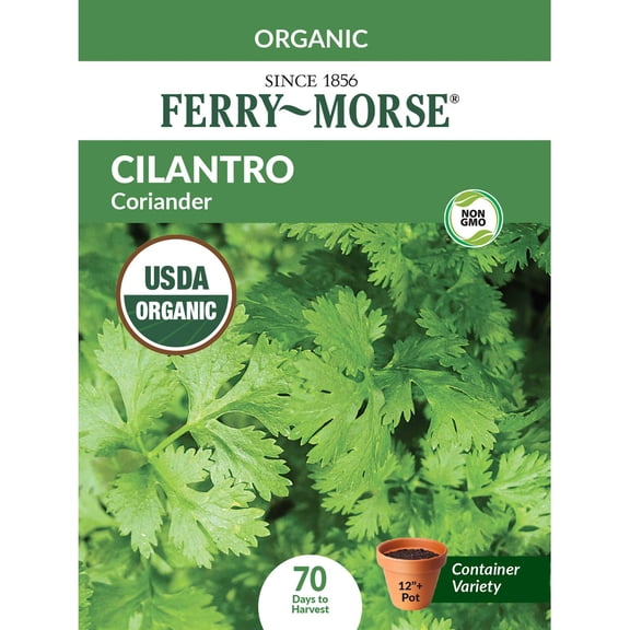 Ferry-Morse Organic 820MG Cilantro / Coriander Annual Herb Seeds, Full Sun