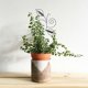 thumbnail image 1 of unbranded Soporte De Hierro Para Plantas Trepadoras En Interior Con De Hoja Y Fácil Instalación, 1 of 8