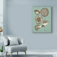 thumbnail image 3 of Trademark Fine Art 'Chambray Chintz III' Canvas Art by Vision Studio, 3 of 4
