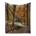 thumbnail image 1 of Autumn Soft Flannel Fleece Throw Blanket, Rainy Gloomy Day Forest Path with Leafless Trees Art Photograph, Cozy Plush for Indoor and Outdoor Use, 50" x 70", Seal Brown Marigold, by Ambesonne, 1 of 6