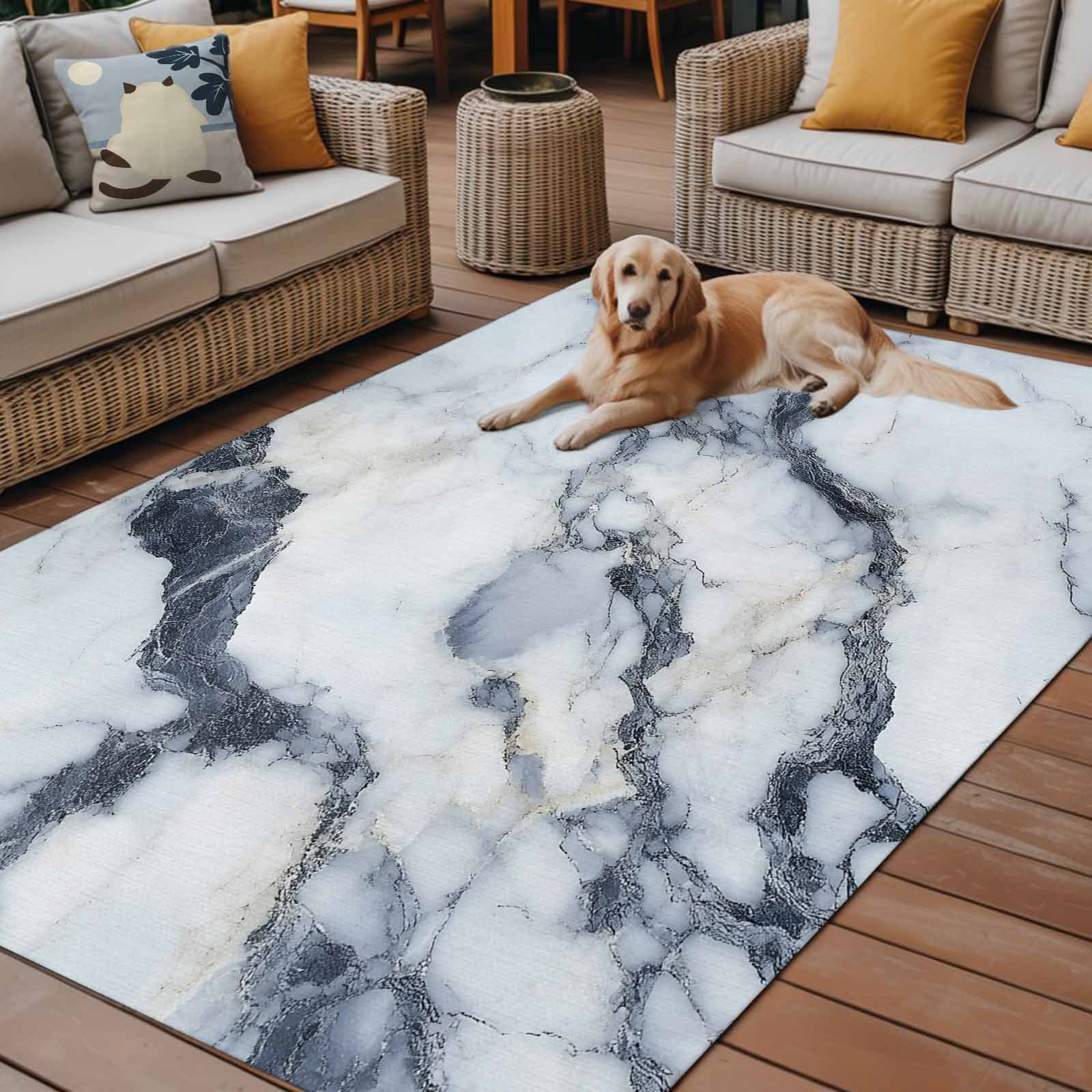 Outdoor Rug 5x8ft Ombre Blue White Marble Texture Large Area Rug Abstract Art Indoor Outdoor Carpet Outdoor Rugs Mats for Patio Camping,RV,Front Door, Outside Decor