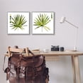 thumbnail image 2 of Stupell Industries Spiky Aloe Palm Plant Paint Hue Guide,17 x 17, Design by Jennifer Paxton Parker, 2 of 7