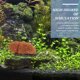 thumbnail image 3 of YSNOOWE Adorno De Coral Para Acuario De Resina Para Y Duradero, 3 of 7