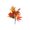 A, variant on Mrzvby Fall Decoration and Home Decor,Autumns Thanksgiving Maple Leaf Cuttings Bunch Table Vase Cuttings Simulation Sun Silk Flower Pumpkin Decoration Autumns Flower Arrangement Ornaments