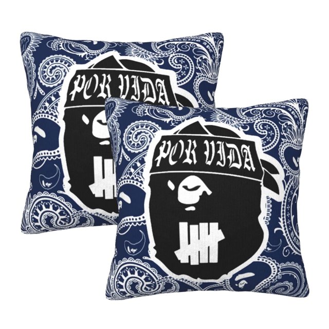 Fundas de almohada Ba-Pe, paquete de 2 fundas de almohada para sofá cama, sala de estar, 22" x 22"