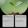 thumbnail image 3 of Environmentally friendly composting bacteria for daily plant root protection, crop absorption and maintenance, agricultural planting powder, 3 of 4