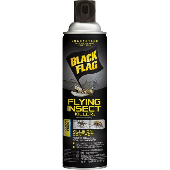 Black Flag 11076 Home-pest-repellents, 18 oz, Clear