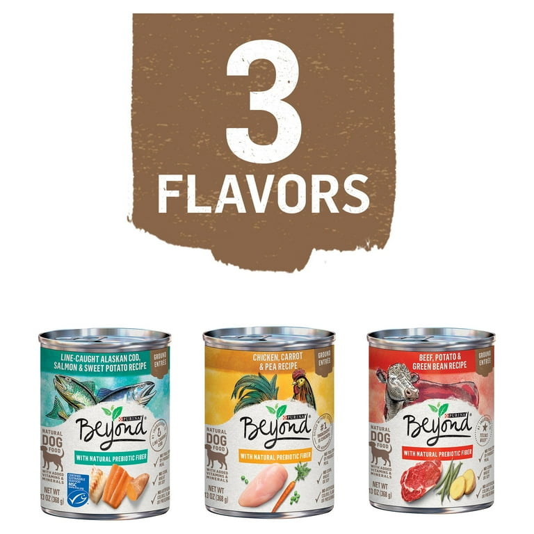 Beyond purina wet dog food online